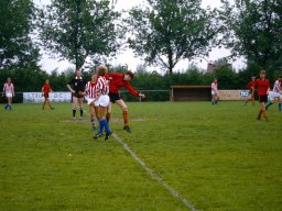 0DIA 1984 RAVA B1